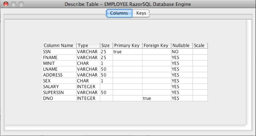 Describe Table
